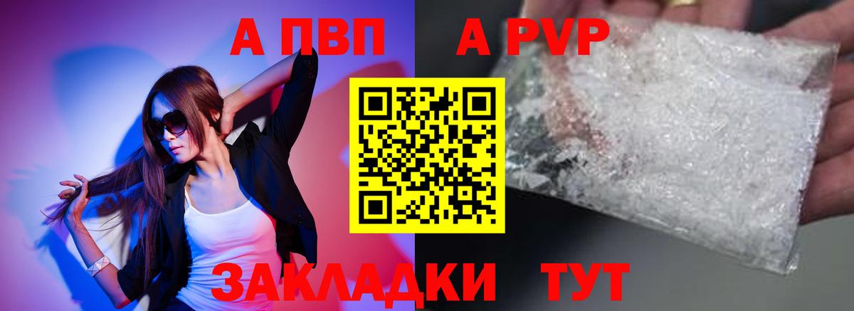 Альфа ПВП СК Ставрополь