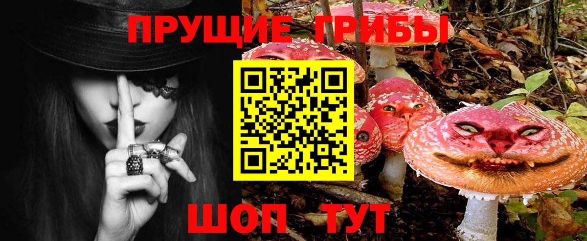 Ставрополь  Галлюциногенные грибы Magic Shrooms  Вход с VPN 