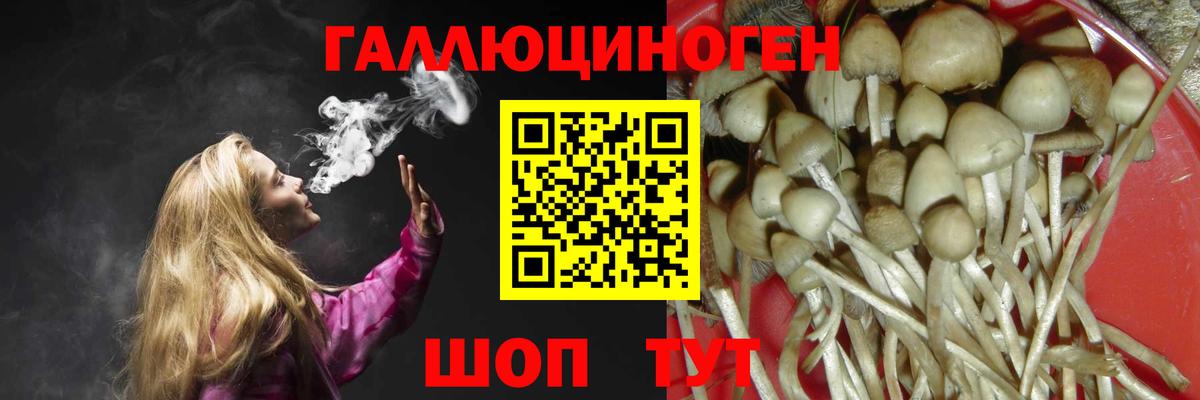 Псилоцибиновые грибы ЛСД Ставрополь